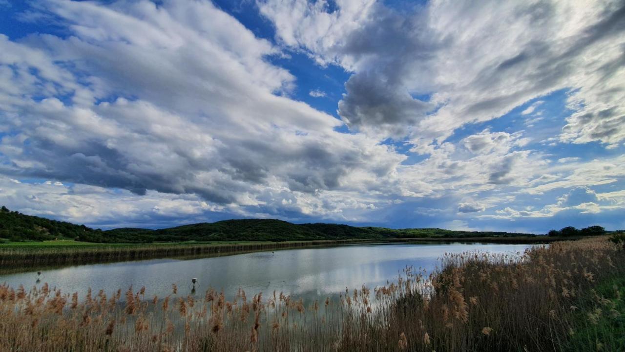 Villa Mons Aureus Popovac Eksteriør billede